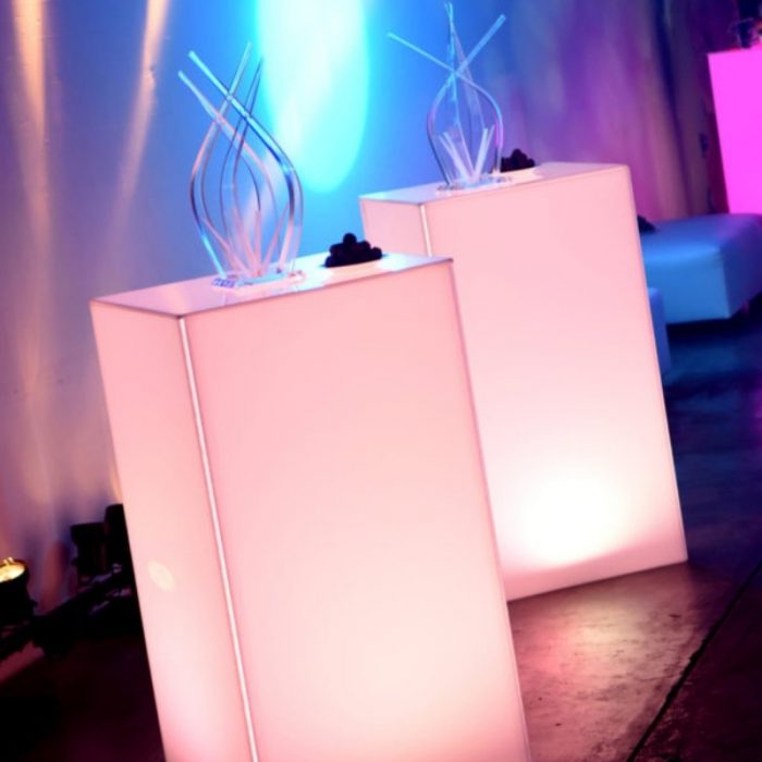 Flourish Acrylic Light