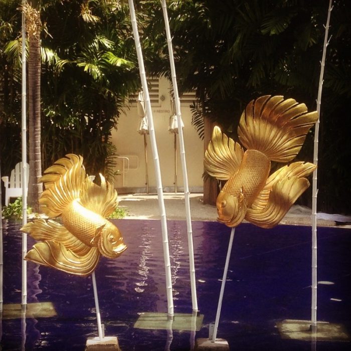 Large gold goldfish