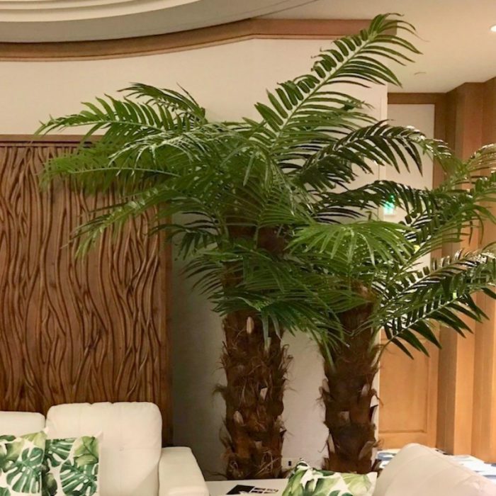 Palm Tree Natural
