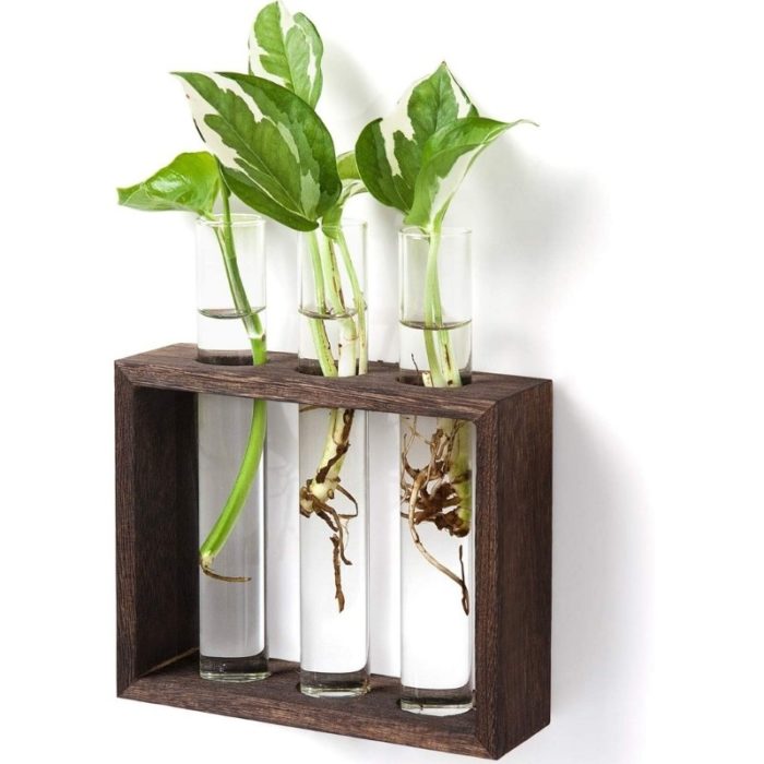 Test Tube with frame set