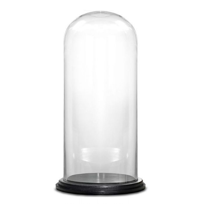 Glass Dome Vase Black Base