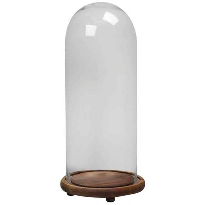 Vase Dome Wood Base