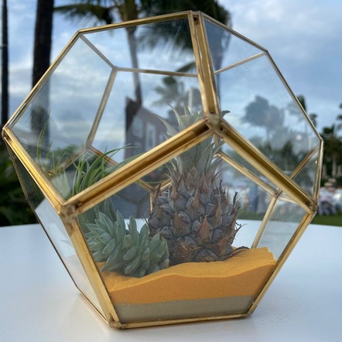 Vase Hexagon Clear Glass