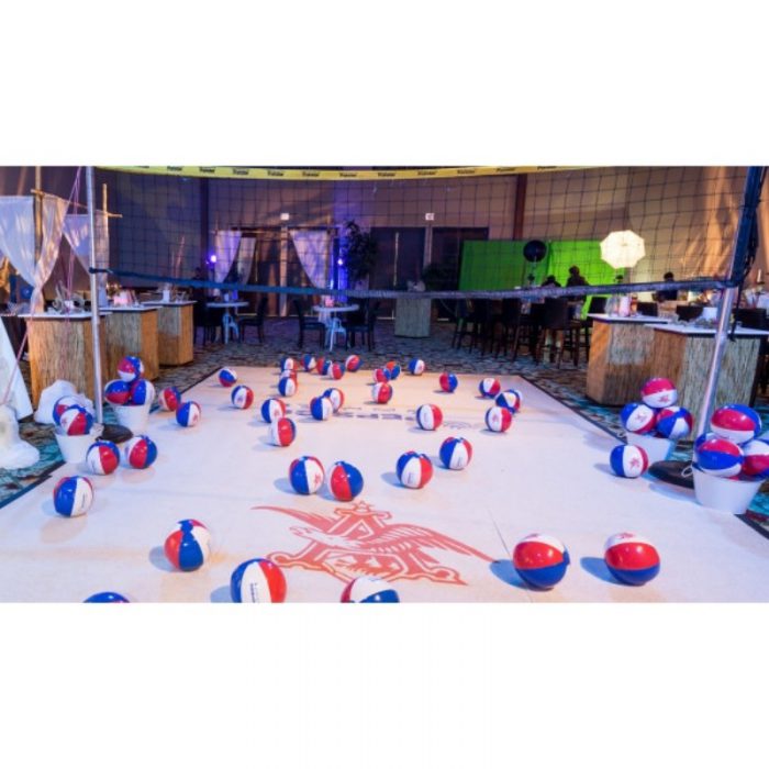 Volleyball Net